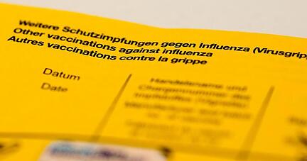 Ein Impfbuch mit den Feldern für die Impfung gegen Influenza (Virusgrippe).