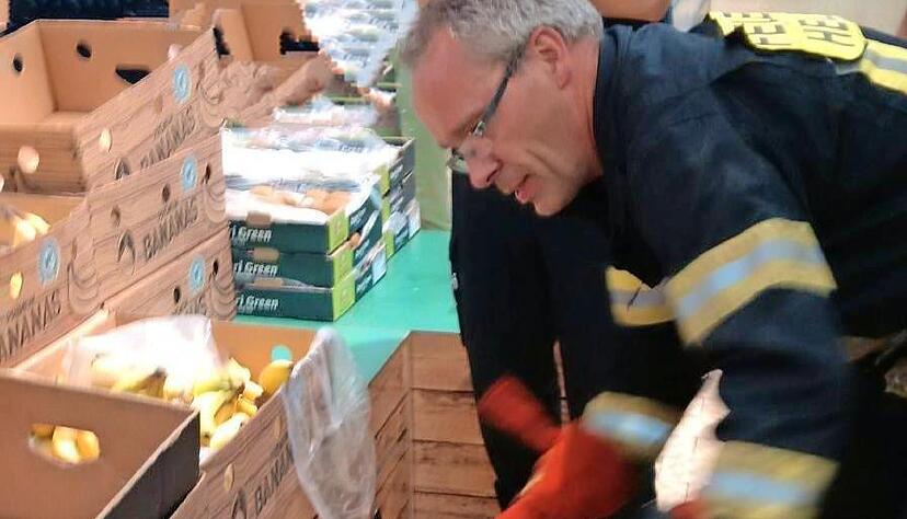 Ein Fachmann der Berufsfeuerwehr holt die Spinne aus dem Bananenkarton. Ein Fachmann der Berufsfeuerwehr holt die Spinne aus dem Bananenkarton.