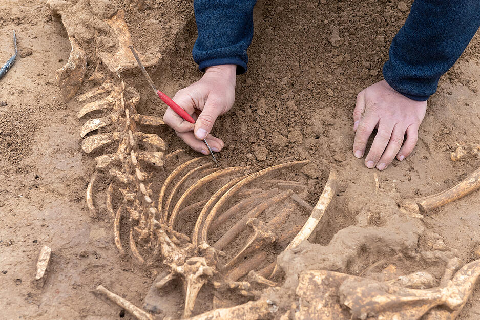 Ausgrabungen auf Campus-Baustelle Ausgrabungen auf Campus-Baustelle