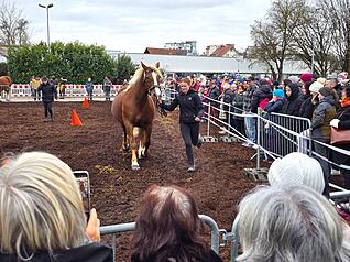 Tausende Besucher str&ouml;men am Sonntag zum traditionellen Pferdemarkt in die Innenstadt.