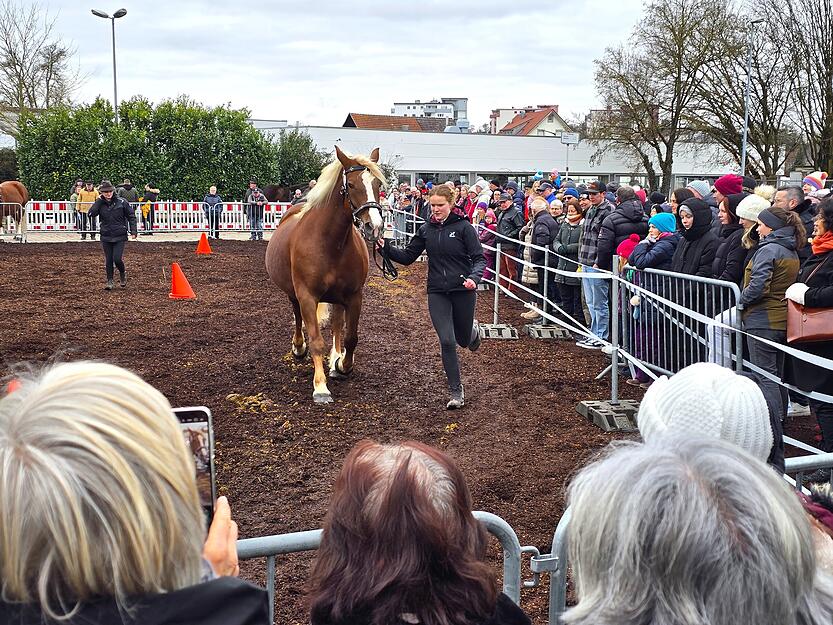Tausende Besucher str&ouml;men am Sonntag zum traditionellen Pferdemarkt in die Innenstadt.