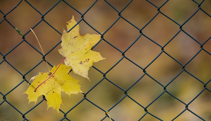 Im Südwesten bleibt es trocken. Im Südwesten bleibt es trocken.