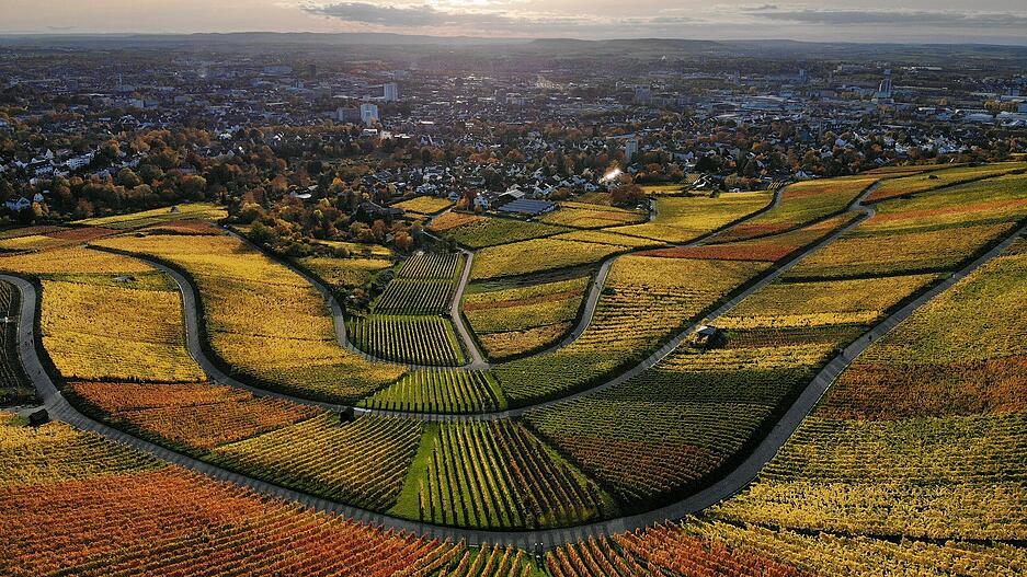 Die schönsten Herbstfotos aus der Region