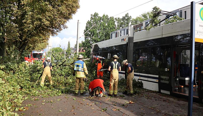 In Mannheim st&uuml;rzte ein Baum auf eine Stra&szlig;enbahn.