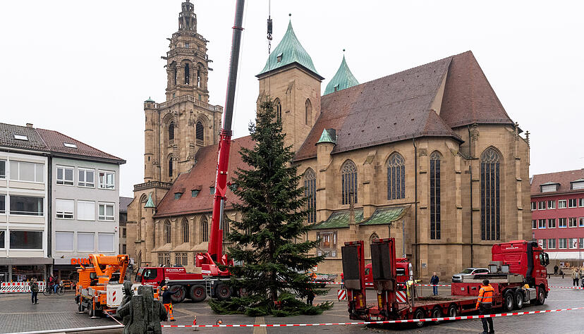 Auch auf dem Heilbronner Kiliansplatz steht jetzt ein Weihnachtsbaum. Der Koloss misst 12 Meter.