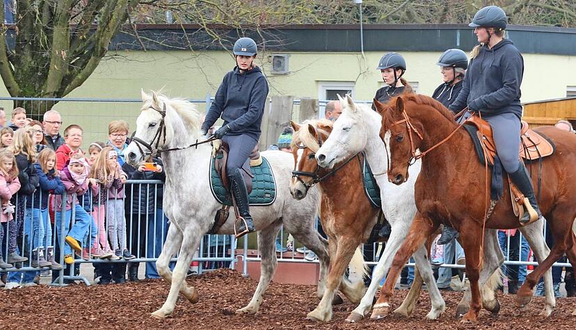 Haflinger, Araber und Co.: Familie Göbel lenkt mit ihrer Quadrille die Blicke hunderter Besucher auf sich, die am Sonntag auf der Herrnweise dieser und weiterer Pferde-Vorführungen beiwohnen.
Fotos: Ralf Reichert Haflinger, Araber und Co.: Familie Göbel lenkt mit ihrer Quadrille die Blicke hunderter Besucher auf sich, die am Sonntag auf der Herrnweise dieser und weiterer Pferde-Vorführungen beiwohnen.
Fotos: Ralf Reichert