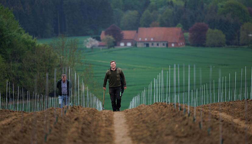 Jan und Gerd Brinkmann sehen in pilzwiderstandsfähigen Weinen die Zukunft. Sie haben 2018 zunächst 1,5 Hektar Weinberge angelegt und im vergangenen Jahr einen weiteren Hektar.