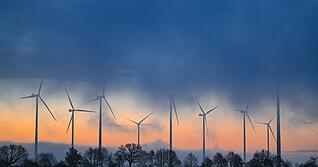 Der Verein "Natürlich Leben Erlenbach" spricht sich nicht grundsätzlich gegen die Nutzung von Windkraft aus. Der Bau von Windkraftanlagen sei jedoch nicht überall vertretbar. Symbolbild: dpa/Patrick Pleul