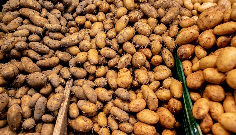 Allgemein ist das Angebot an Frühkartoffeln in diesem Jahr eher knapp. Allgemein ist das Angebot an Frühkartoffeln in diesem Jahr eher knapp.