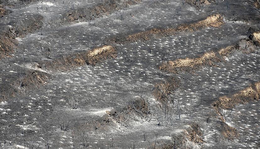 Den Behörden zufolge soll eine Fläche von rund 120 Quadratkilometern verbrannt sein. Den Behörden zufolge soll eine Fläche von rund 120 Quadratkilometern verbrannt sein.