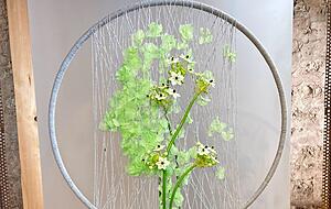 Alles echt Natur: Wer erkennt das Blumengesicht im Stickrahmen? Alles echt Natur: Wer erkennt das Blumengesicht im Stickrahmen?