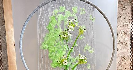 Alles echt Natur: Wer erkennt das Blumengesicht im Stickrahmen?