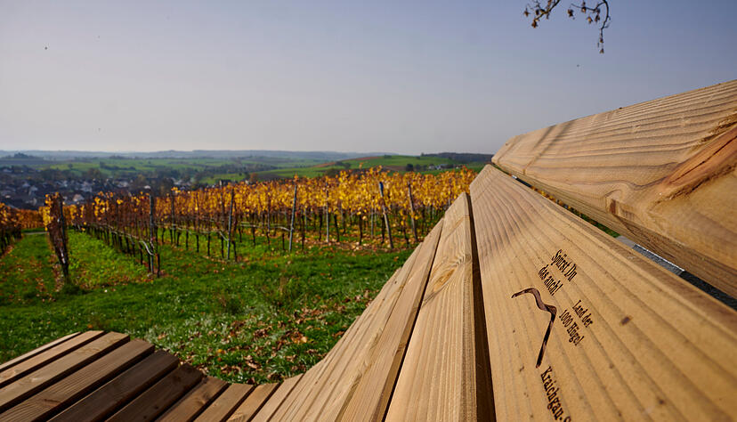 Herbststimmung über dem Eppinger Linien Weg - Der Kraichgau ist immer eine Reise wert, auch au0erhalb des Heilbronner Lands finden sich attraktive Plätze zum Entdecken. Herbststimmung über dem Eppinger Linien Weg - Der Kraichgau ist immer eine Reise wert, auch au0erhalb des Heilbronner Lands finden sich attraktive Plätze zum Entdecken.