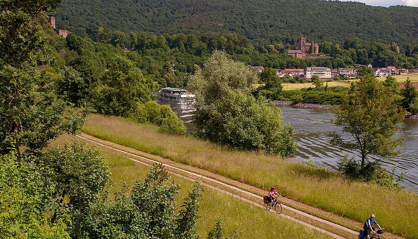 In Neckarsteinach warten entlang des Flusses gleich vier Burgen auf Radlerinnen und Radler.