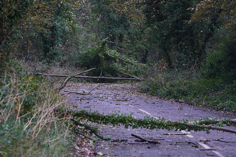 Umgestürzte Bäume und abgebrochene Äste blockieren eine Straße in Dover, Kent.