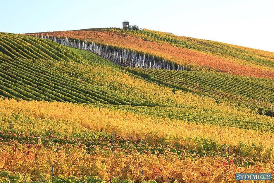 Leserfotos: Herbst in der Region