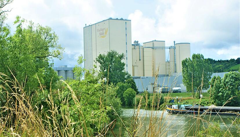Durch die Entscheidung vor 35 Jahren, von der Murr an den Neckar umzusiedeln, wurde der Grundstein f&uuml;r das Wachstum der Frie&szlig;inger-M&uuml;hle gelegt.   
Foto: Anton Zuber