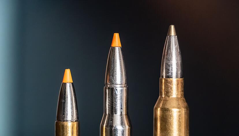 Jagdpatronen im Kaliber 308 Winchester (l-r), 30-06 Springfield und 300 Winchester Magnum stehen bei einem Jäger auf einem Waffenschrank. (Symbolbild) Jagdpatronen im Kaliber 308 Winchester (l-r), 30-06 Springfield und 300 Winchester Magnum stehen bei einem Jäger auf einem Waffenschrank. (Symbolbild)