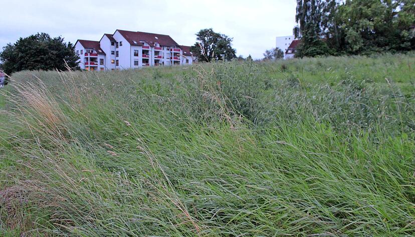 Noch ist das Areal Zylinderhof III (Foto) nicht bebaut. Trotzdem wird schon "Zylinderhof IV" auf der anderen Seite der Adelshofener Straße vorbereitet.
Foto: Jörg Kühl