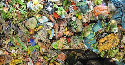 Genießbare Lebensmittel, die sonst in der Biogasanlage oder im Abfall landen, können noch verzehrt werden. Eine App bringt Produzenten und Kunden zusammen. 
Foto: dpa