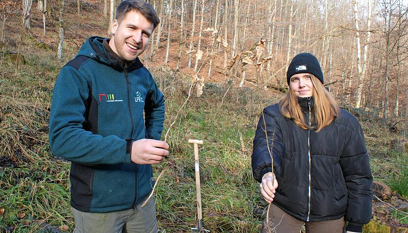 Setzen junge Stieleichen in die Erde: Projektkoordinator Jörn Hartmann und Auszubildende Lena Kadoke auf einer Aufforstungsfläche bei Unterheinriet. Setzen junge Stieleichen in die Erde: Projektkoordinator Jörn Hartmann und Auszubildende Lena Kadoke auf einer Aufforstungsfläche bei Unterheinriet.