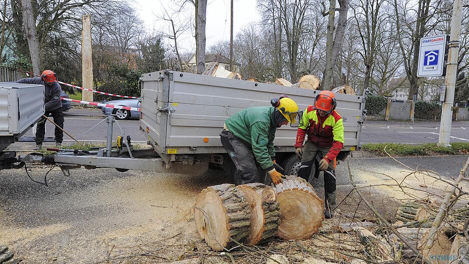 Sturmsch&auml;den in der Region
