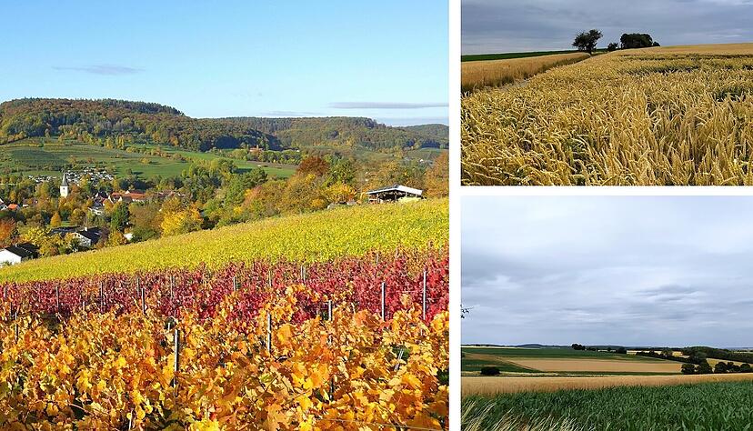 Sonnenschein über den Weinbergen bei Untersteinbach, grauer Himmel über den Feldern bei Bad Rappenau. Sonnenschein über den Weinbergen bei Untersteinbach, grauer Himmel über den Feldern bei Bad Rappenau.