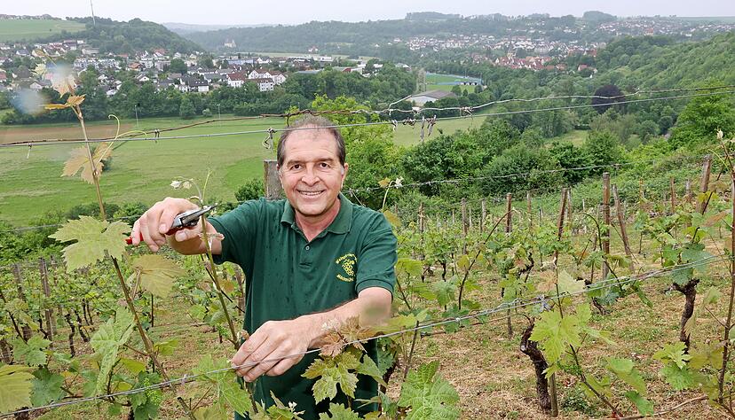 Die Mitglieder des Weingärtnervereins um Vorsitzenden Uwe Buzecan setzen sich für den Erhalt des Weinbaus im Jagsttal ein. Die Mitglieder des Weingärtnervereins um Vorsitzenden Uwe Buzecan setzen sich für den Erhalt des Weinbaus im Jagsttal ein.