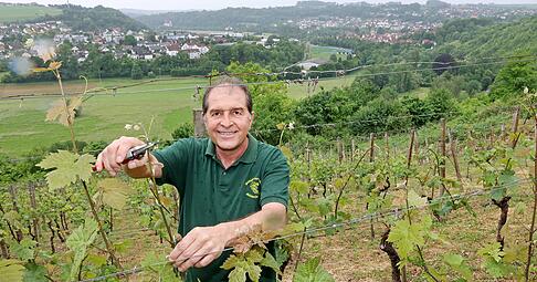 Die Mitglieder des Weingärtnervereins um Vorsitzenden Uwe Buzecan setzen sich für den Erhalt des Weinbaus im Jagsttal ein.