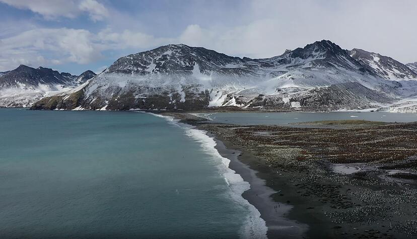 Seit 2022 grassiert die größte je dokumentierte Vogelgrippewelle. Seit 2022 grassiert die größte je dokumentierte Vogelgrippewelle.