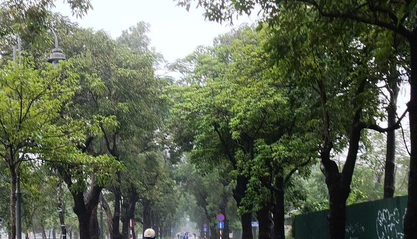 Die Behörden warnten vor Sturzfluten. Die Behörden warnten vor Sturzfluten.