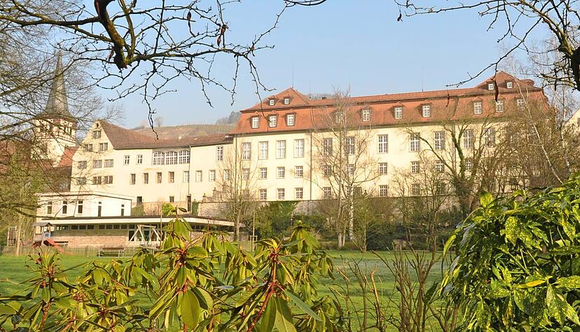 Ein herrschaftlicher Arbeitsplatz: B&uuml;rgermeister Michael Bauer sitzt mit seiner Verwaltung im Ingelfinger Schloss
Foto: Archiv/Maurhoff