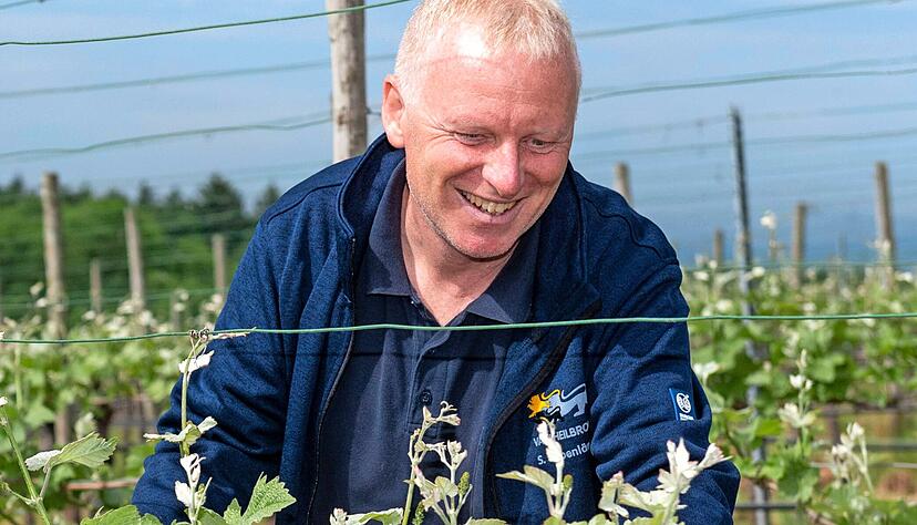 Stephan Oppenl&auml;nder leitet den Bereich Weinbau.
