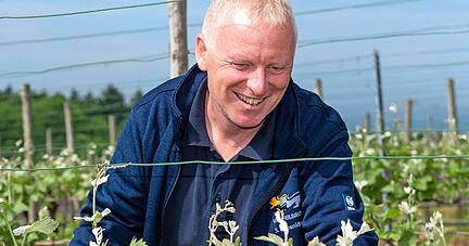 Stephan Oppenländer leitet den Bereich Weinbau. Stephan Oppenländer leitet den Bereich Weinbau.