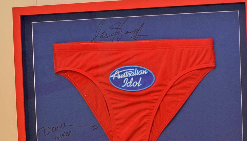 Die Badehose von David Hasselhoff hängt bereits im Museum. Die Badehose von David Hasselhoff hängt bereits im Museum.