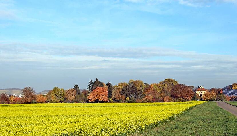 Seit vielen Jahren warten die Sontheimer auf das Neubaugebiet Klingenäcker im Süden des Stadtteils. Jetzt rückt die Umlegung näher. Foto Andreas Veigel