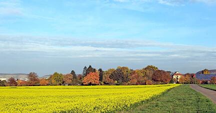 Seit vielen Jahren warten die Sontheimer auf das Neubaugebiet Klingenäcker im Süden des Stadtteils. Jetzt rückt die Umlegung näher. Foto Andreas Veigel Seit vielen Jahren warten die Sontheimer auf das Neubaugebiet Klingenäcker im Süden des Stadtteils. Jetzt rückt die Umlegung näher. Foto Andreas Veigel