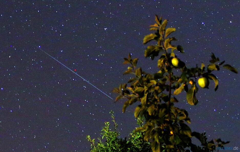 Ein Sternschnuppe ist am 13.08.2015 am Himmel über Kaufbeuren (Bayern) hinter einem Apfelbaum zu sehen.