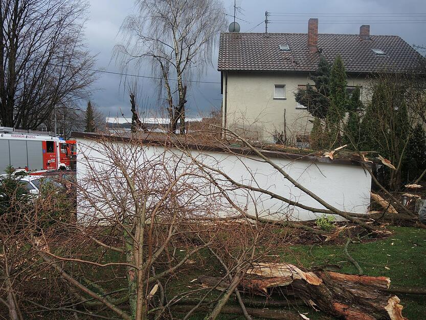 Baum explodiert durch Blitzeinschlag Baum explodiert durch Blitzeinschlag