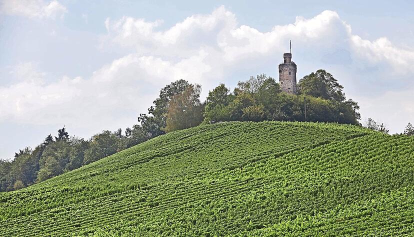 Der Heuchelberg bei Leingarten: Hier planen Landwirte am Sonntag eine Protestaktion.
Foto: Ralf Seidel