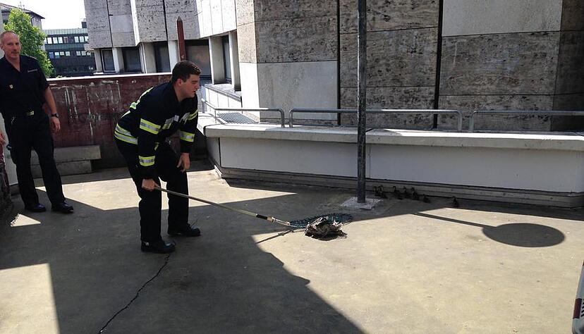 Feuerwehr rettet Entenfamilie | 02.07. Feuerwehr rettet Entenfamilie | 02.07.