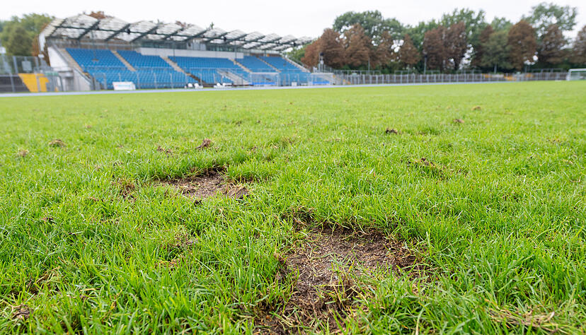 Der Rasen des Heilbronner Frankenstadions befindet sich aktuell in einem desolaten Zustand. Der Rasen des Heilbronner Frankenstadions befindet sich aktuell in einem desolaten Zustand.