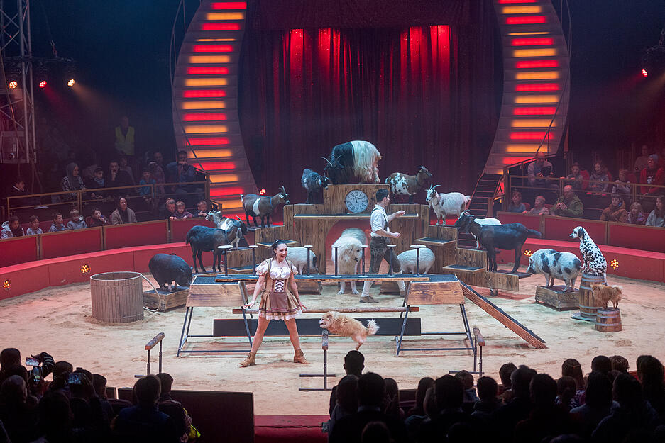 Der Verein Miteinander e.V. organisiert kostenlose Sondervorstellung im Weihnachtszirkus f&uuml;r rund 2000 Kinder.