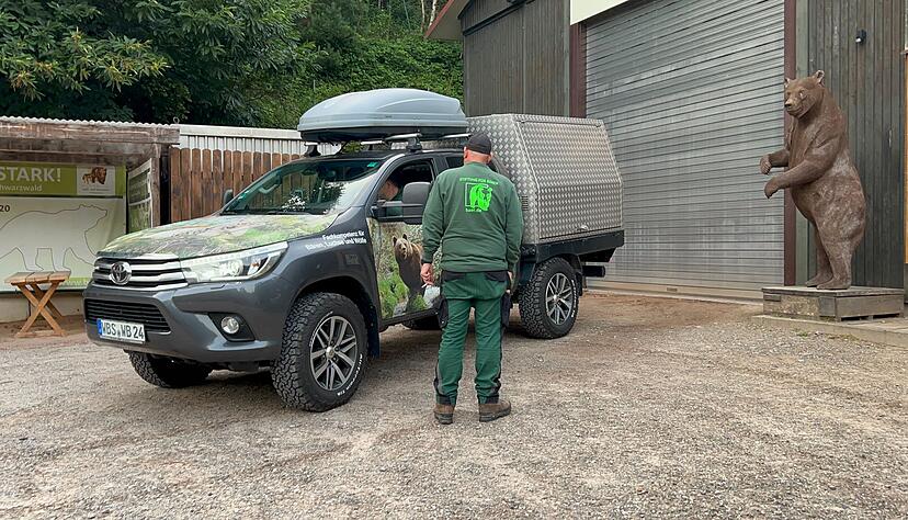 Die Wildbärin Gaia ist im Alternativen Wolf- und Bärenpark angekommen. (Foto-Handout) Die Wildbärin Gaia ist im Alternativen Wolf- und Bärenpark angekommen. (Foto-Handout)