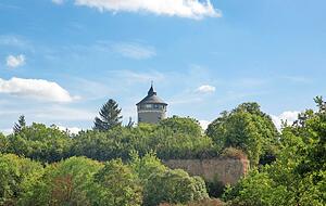 Die kahlen L&ouml;&szlig;w&auml;nde sind ein Markenzeichen des Ziegeleiparks. Im Hintergrund ragt der Wasserturm &uuml;ber die Vegetation hinaus.