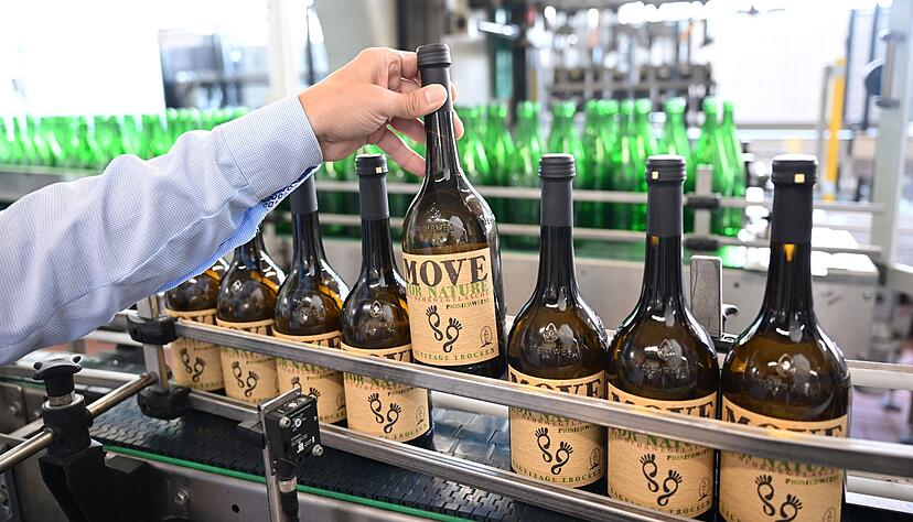 Eine 0,75-Liter-Mehrweg-Weinflasche der Winzergenossenschaft Heuchelberger Weingärtner wird an einer Abfüllanlage gehalten.