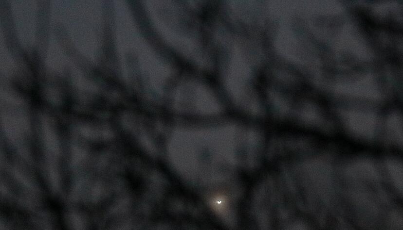 Mit einem 300mm-Zoomobjektiv sieht die Venus derzeit so aus. Mit einem 300mm-Zoomobjektiv sieht die Venus derzeit so aus.