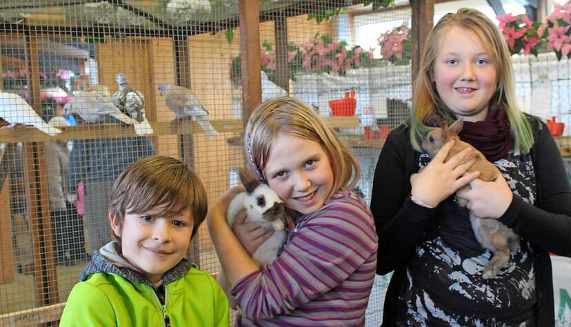 Magnus, Emelie und Leonie Rieble finden die Kaninchen einfach nur putzig. Sie haben im Streichelgehege reiche Auswahl. Alle drei kommen jedes Jahr wegen der Kleintierausstellung nach Öhringen.Foto: Renate Väisenen Magnus, Emelie und Leonie Rieble finden die Kaninchen einfach nur putzig. Sie haben im Streichelgehege reiche Auswahl. Alle drei kommen jedes Jahr wegen der Kleintierausstellung nach Öhringen.Foto: Renate Väisenen