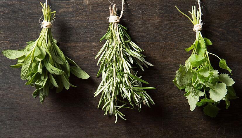 Gew&uuml;rzfans sollten sich Kr&auml;uterstr&auml;u&szlig;e zum Trocknen in die K&uuml;che h&auml;ngen. So k&ouml;nnen Salbei, Rosmarin, und Zitronenmelisse (l-r) bei Bedarf mit gem&ouml;rsert werden.