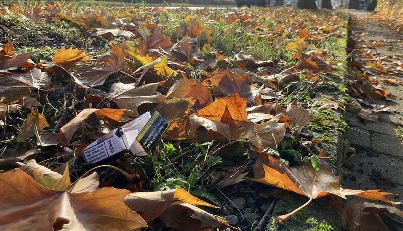 In diesem Bereich griffen die Polizisten nach Angaben des Schwagers in Offenau zu.